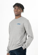 Sudadera Helmet Gris