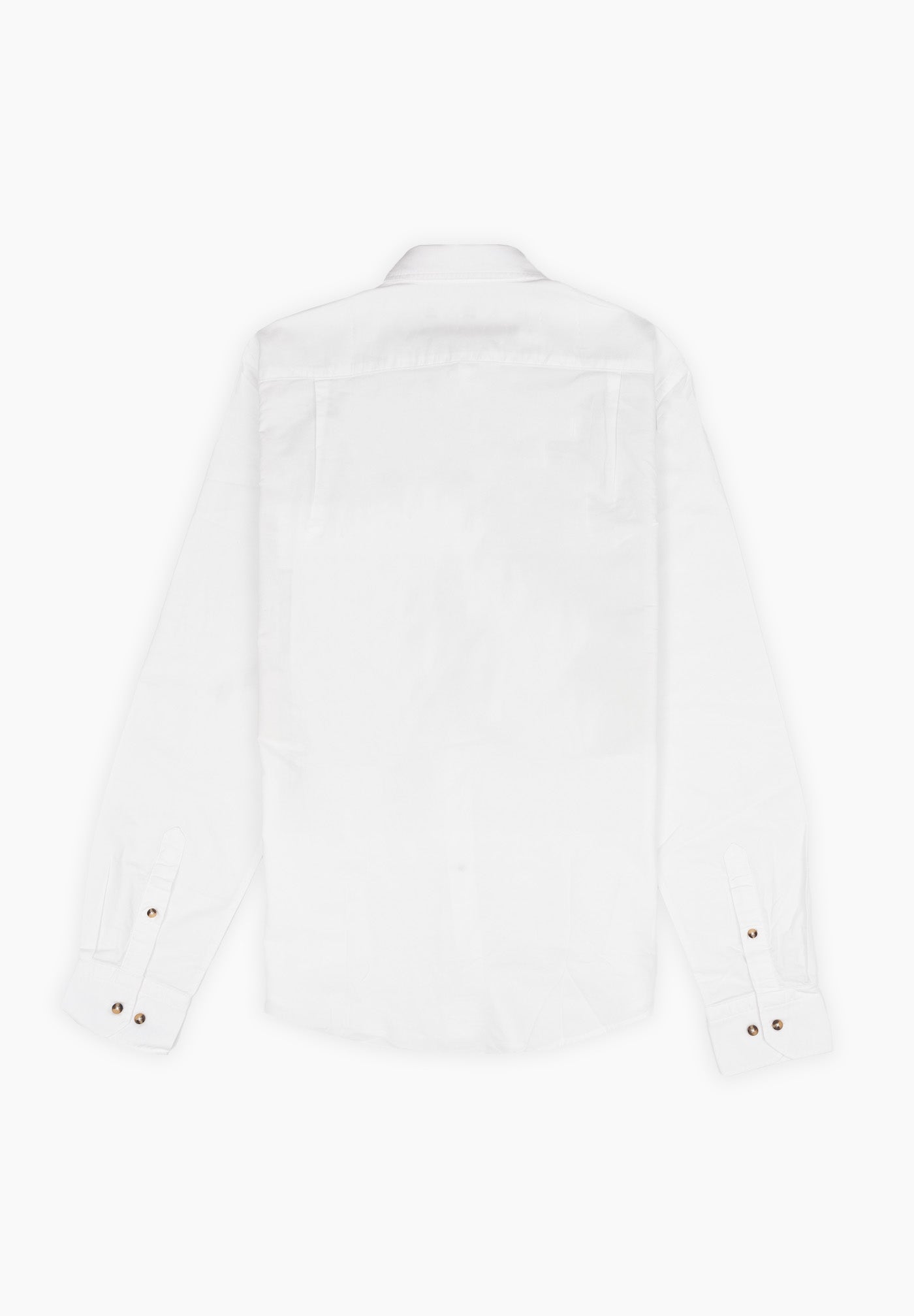 Pinpoint Button-Down Shirt