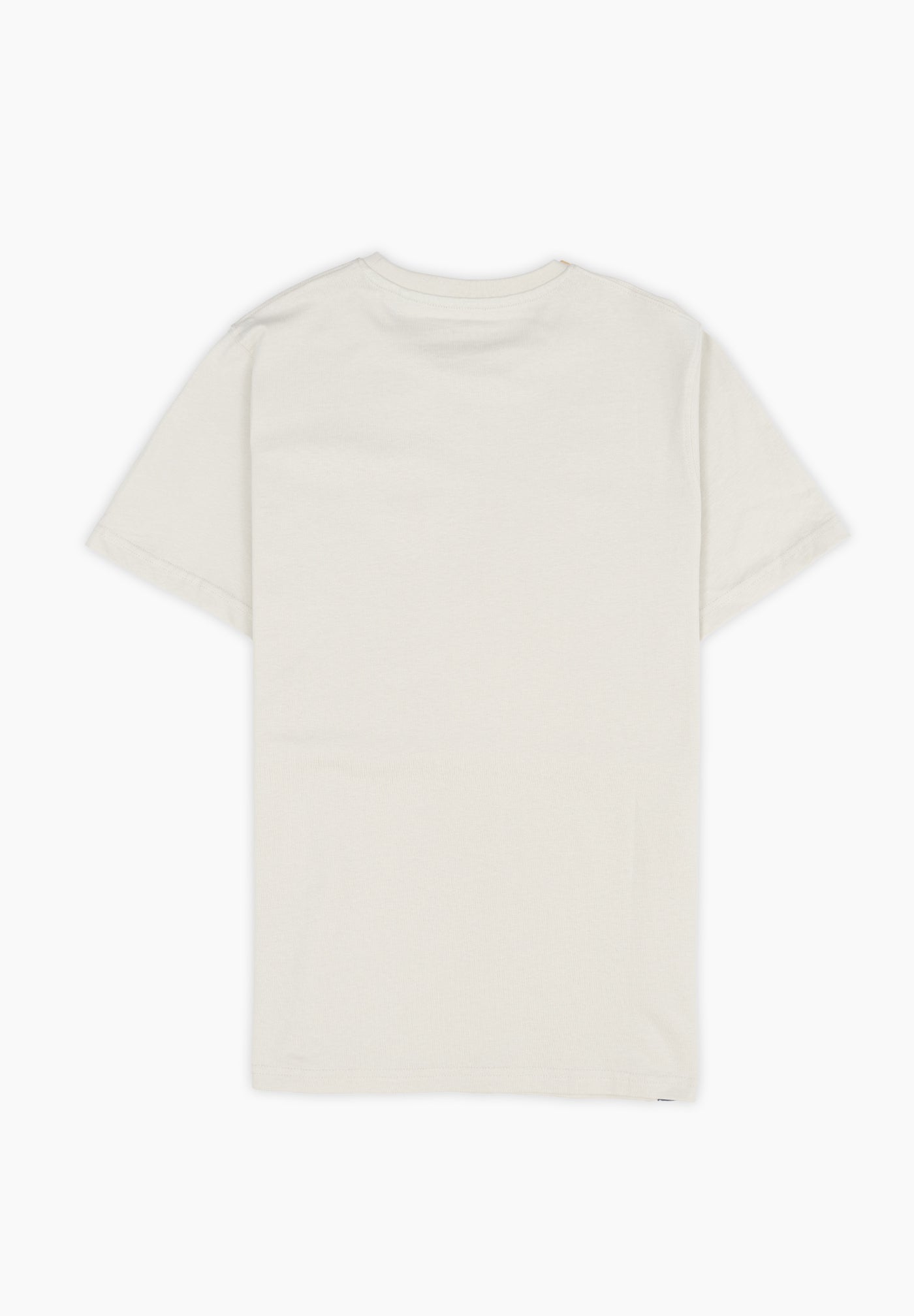 Minimal Greenish Grey T-shirt