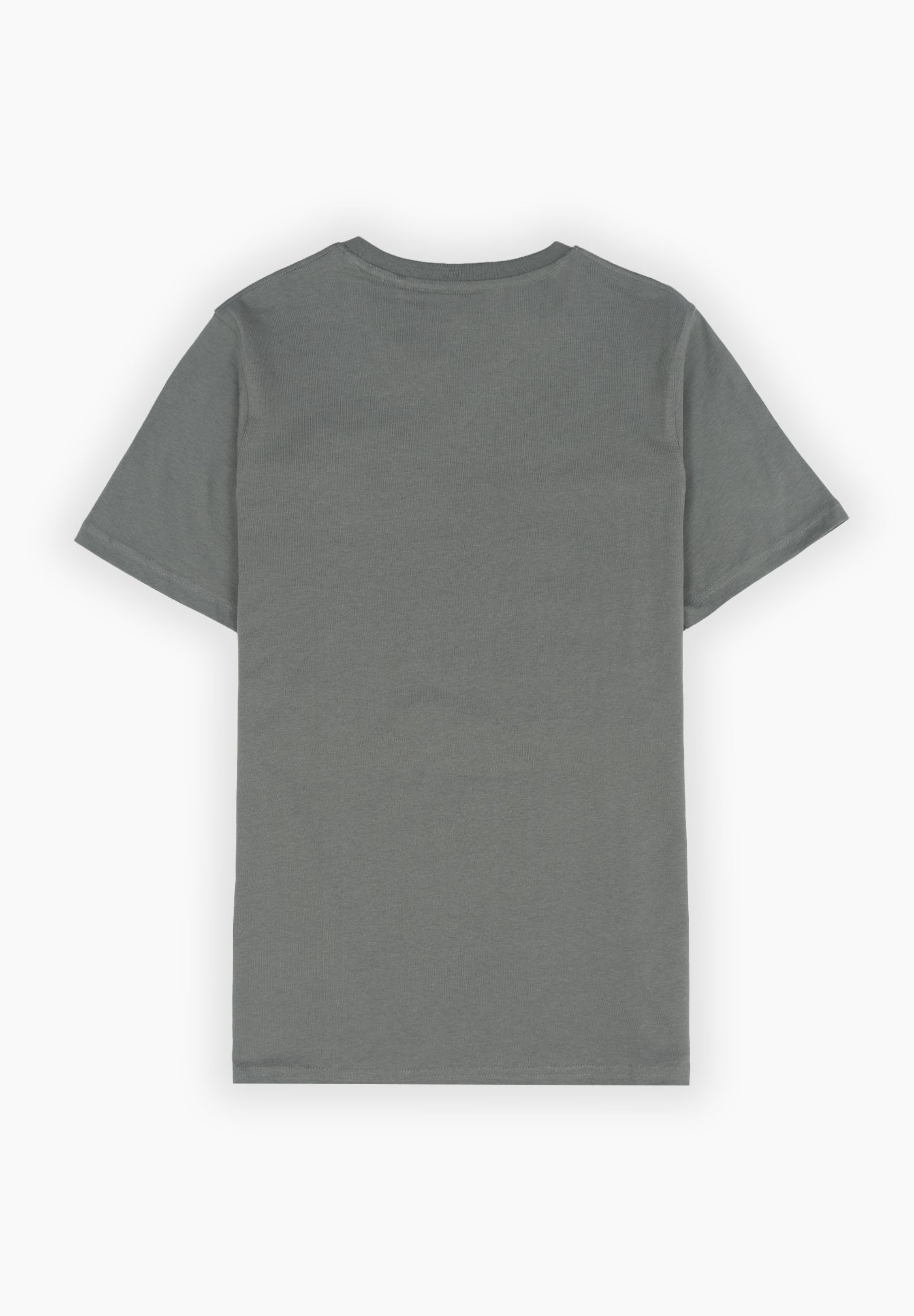 Minimal Sage T-shirt