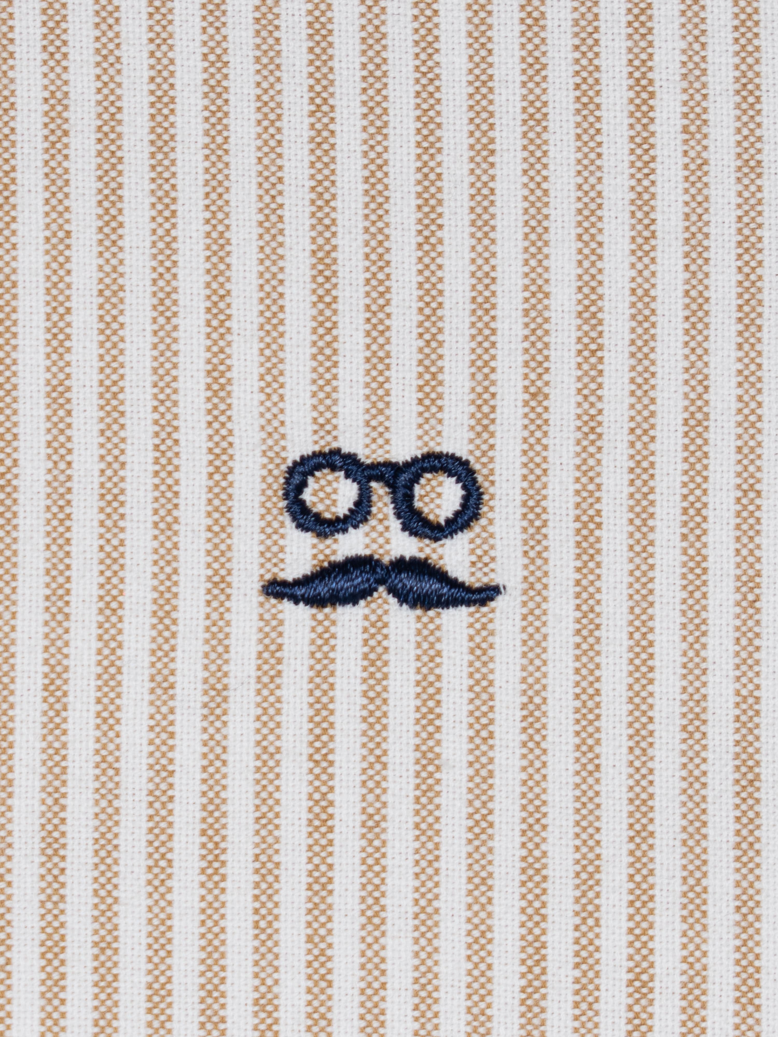 Camisa Oxford Rayas Avellana