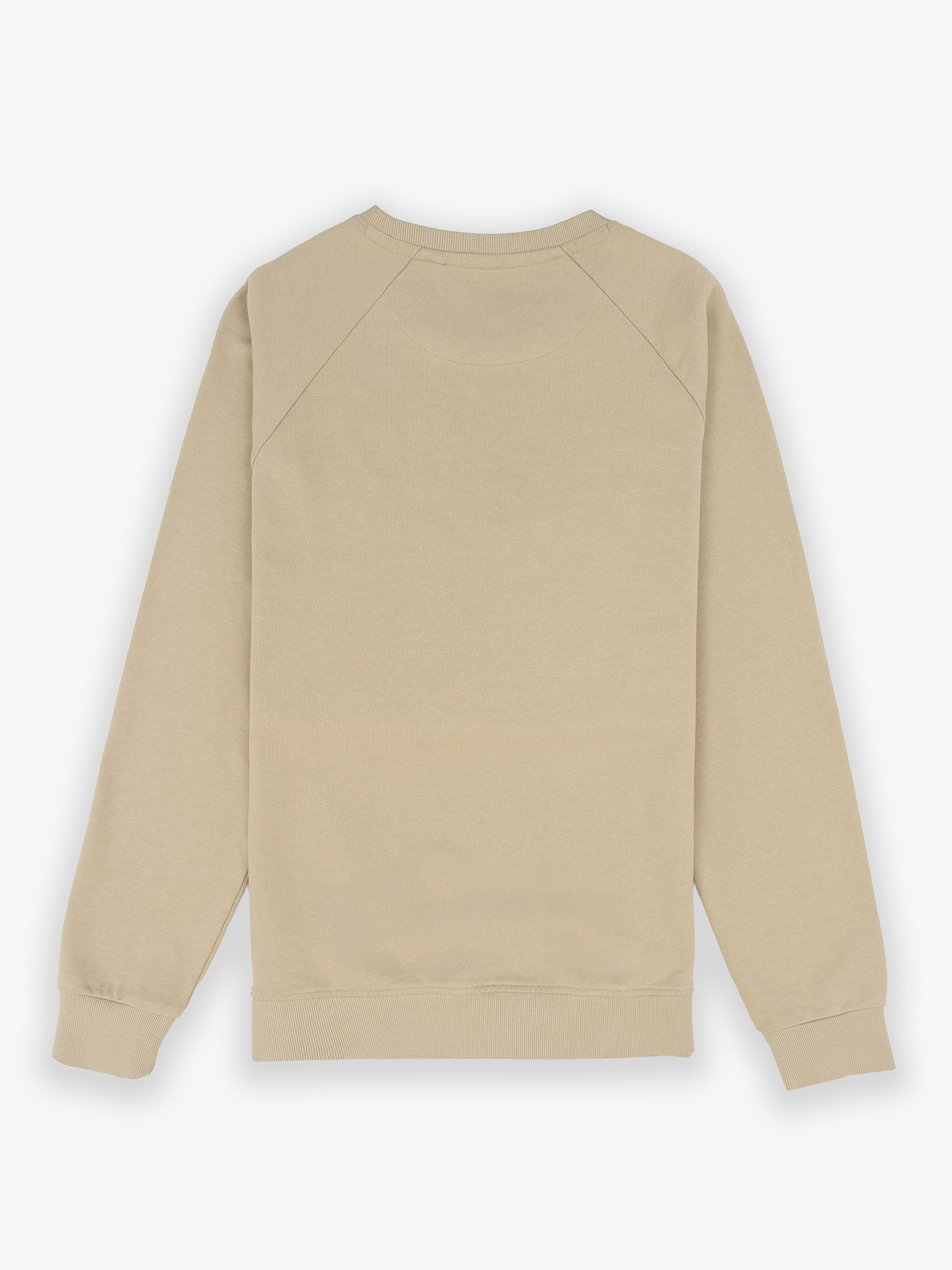Sudadera Ranglan Bordado Arena